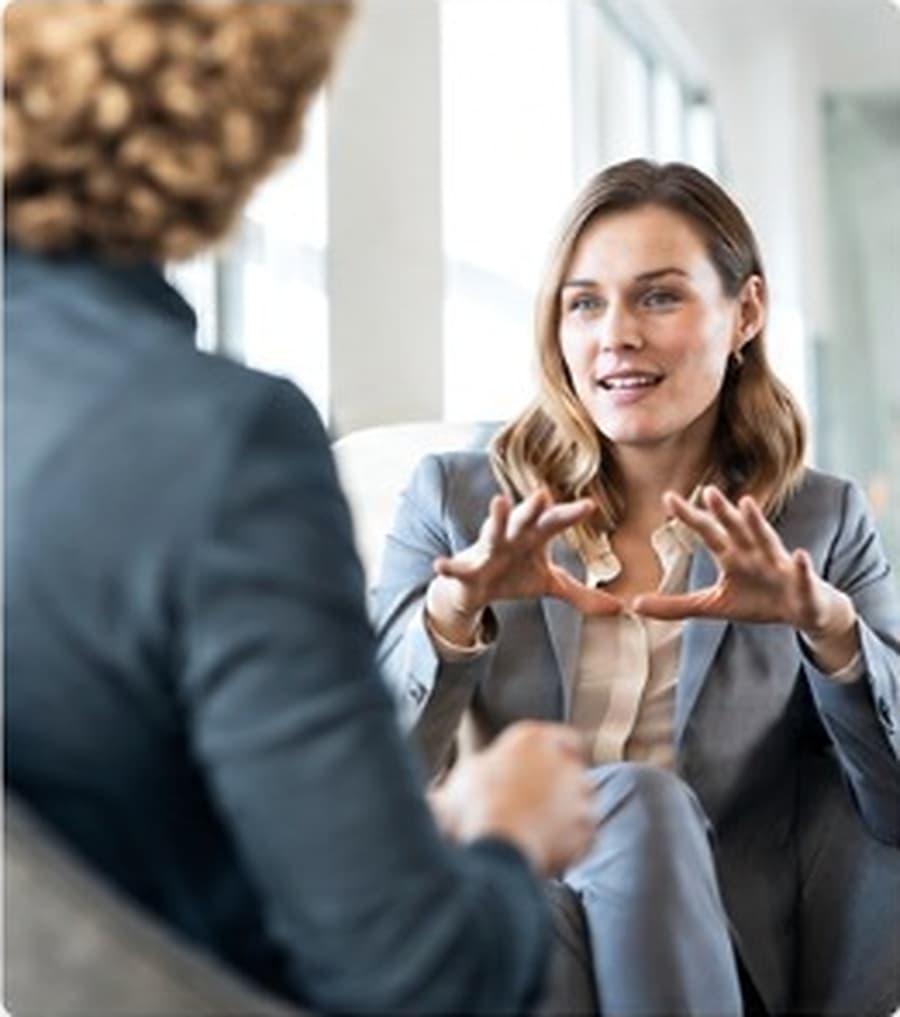 Professional consultant discussing a plan with a client